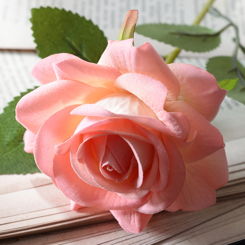 Aisha rose champagne powder