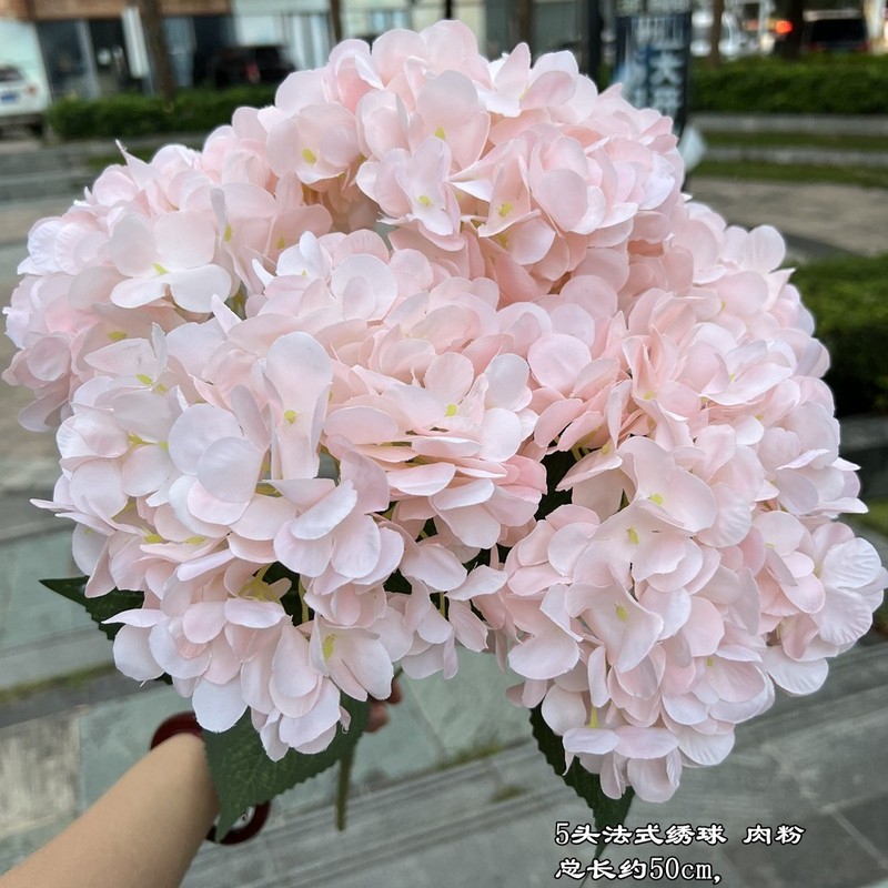 【シミュレーションアジサイ】外国貿易5頭フランスアジサイグリーンフランスアジサイ平が結婚祝いの花卸売りをしている|undefined