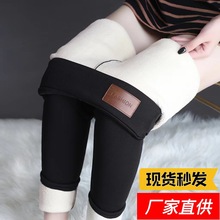 自设工厂加绒长裤女装紧身小脚裤包臀显瘦保暖裤羊羔绒网红铅笔裤