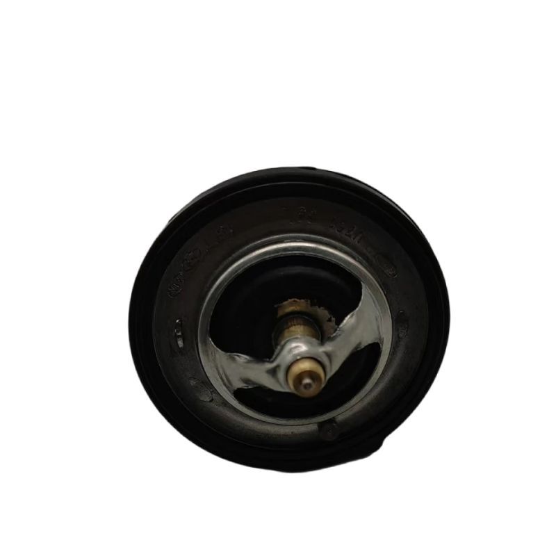 25500-2E000 Is Suitable for Hyundai Kia Auto Parts Thermostat 255002E000