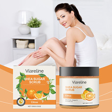 VIARELINE �������wĥɰ�� �᝙�����w�坍ȥ���|�ճ����w�o��