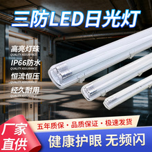 led������t8���p��ȫ�׷��x�����L�l֧�ܟ�1.2�׷�ˮ�����չ����