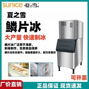 SUNICE�Ϻ���֮ѩ�Ʊ��C�[Ƭ����a�����î��α�Ƭ���CTP200ϵ��