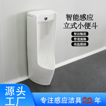 ���ʽС�㶷��ʿ�մ��ԄӸБ�С�������������l���g�Ƶ������