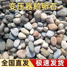 鹅卵石铺路铺地滤水垫层鹅卵石电厂变压器用5-8厘米大块鹅卵石厂