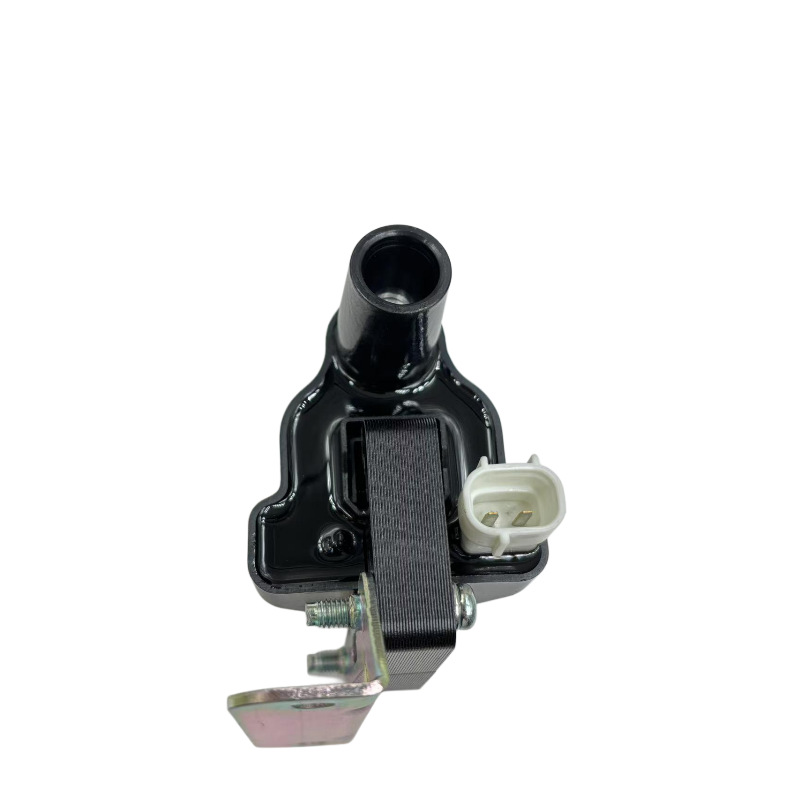 Wholesale Cross-Border Price Ignition Coil F1Cz12029A B6S718100 B6S71810Xa B6S81010Xa