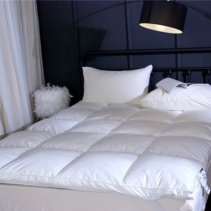 Super Soft Tatami Mattress Cushion Thickened Cushion Bedpad Single Double 1.8m Simmons Mattress Protector