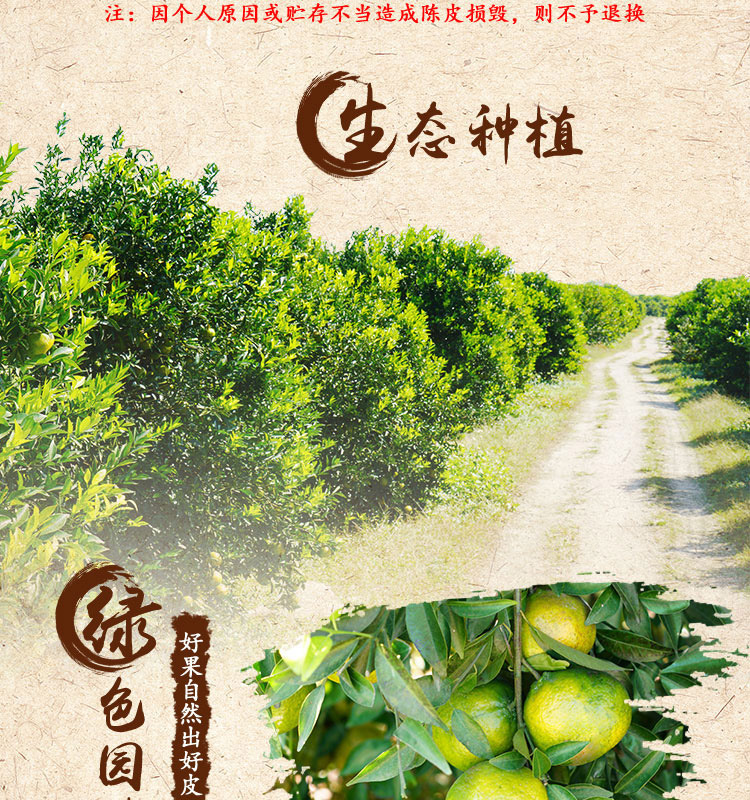 Aged Chenpi (Citrus reticulata) — Sun-Dried Xinhui Tangerine Peel, 10–20 Year Aged Dahongpi key features