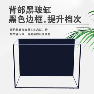 Black Back Fish Tank Living Room Small and Medium Household Desktop Aquarium Fish Aquatic Grass Tank Ecological Tank Super White Black Glass Tank