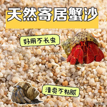 海沙寄居蟹沙水螃蟹底沙石天然垫材原生贝壳沙免洗鱼缸造景沙子