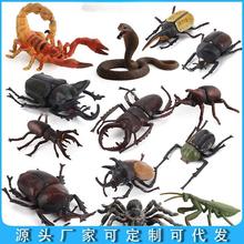 �羳 ���挍��֩�����x����ģ�����R�������xɳ�P�����ƽ̔[��