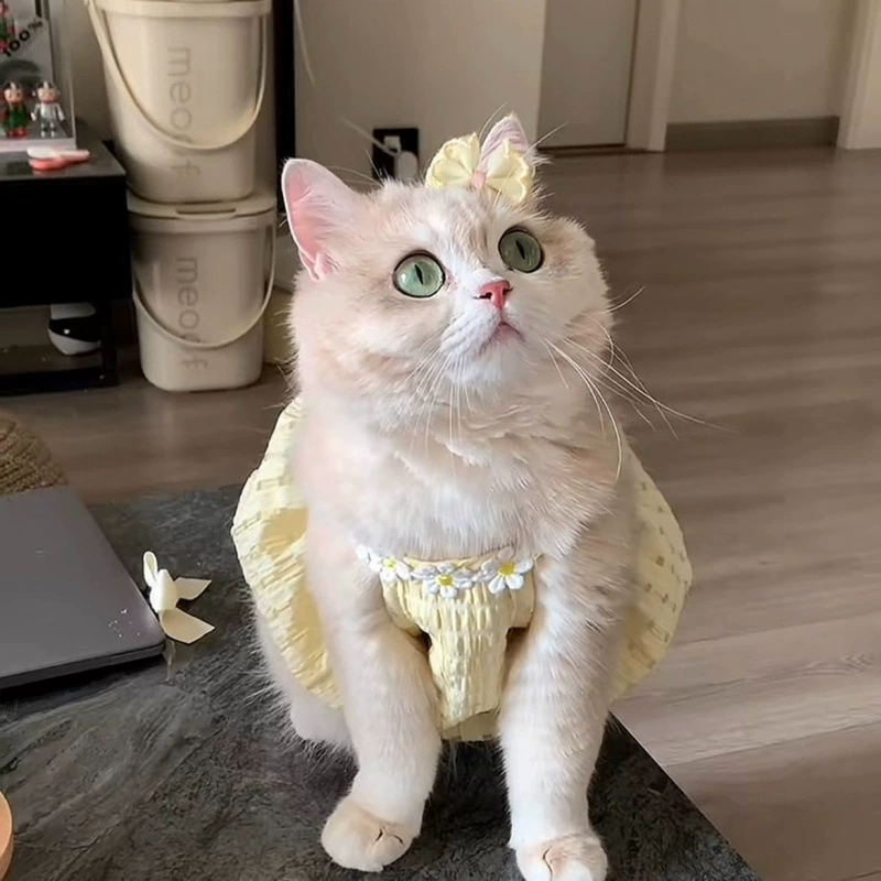 Новая летняя одежда для кошек, предотвращающая выпадение шерсти, милая британская короткая летняя юбка на подтяжках с золотым градиентом Ragdoll Cat