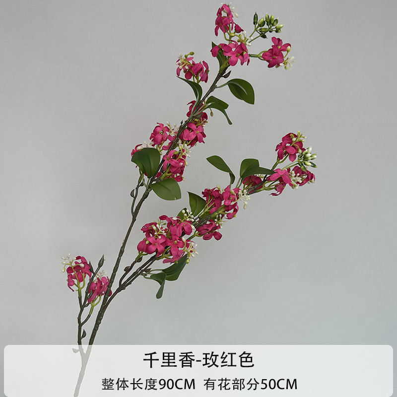 Qianli 향-로즈 레드