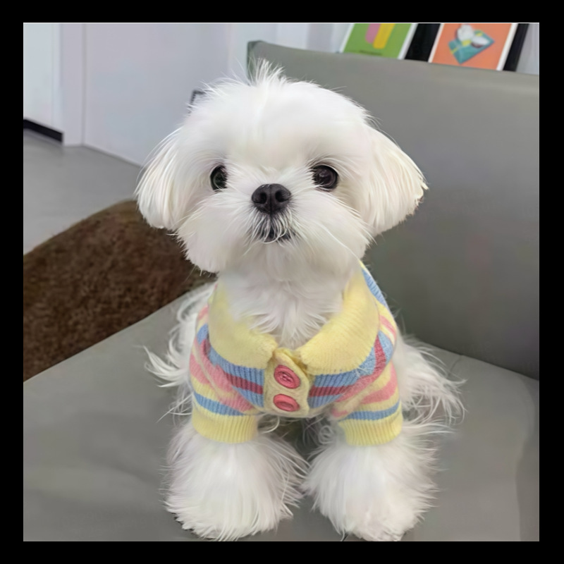 宠物针织毛衣秋季新款狗狗衣服泰迪小型犬猫咪比熊博美贵宾秋冬装|undefined