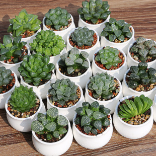 F؛ֲ¶ʮ¶mOϱ̶ڼ¶