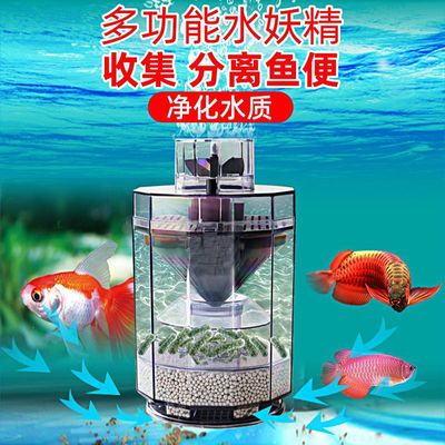 fish tank Water Artifact Pneumatic Toilet closestool Alluring woman Aerobics Running water One Enforcement filter