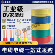 ZC-BV������ȼ늾�2.5/4/6/10ƽ�����b�_�P������|�������Դ��