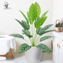 �羳��Ʒ�������Gֲ�t�p���~���ԼҾӿ͏d�k���Ҿ��^��ֲ���쾰