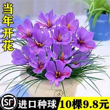 ���ڲؼt���N�����Ի��N���҃Ȼ����ļ��_�����ͺ�ˮ��ֲ��ș��