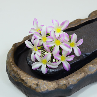 ���滨ˮ���ٺϻ�������diy���ϰ������仨�ٻ��𻨴��羳���N��