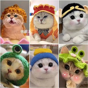 Amazon Pet Headgear Cat and Dog Knitted Hat Cospaly Props Headwear Funny Transformation Clothing Wholesale