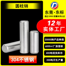 圆柱销滚花轴紧固搓花销轴加工定制不锈钢单头定位销不锈钢定制