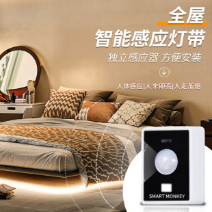 LED induction lamp wholesale 24v power supply with adhesive soft light strip under the bed and stairs multi-color COB light strip super bright