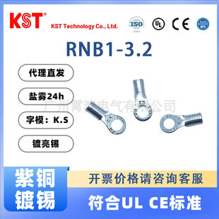 Original genuine goods Taiwan KST Jianhexing RNB1-3.2-90D Non-insulated Round Copper Cold Pressing Terminal