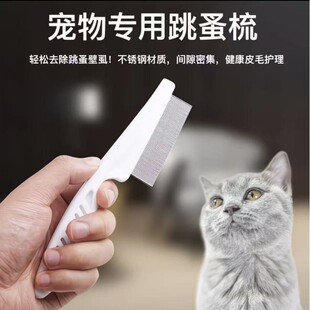 ���ﹷ��ë�����XС��������؈���坍�沿С��Ȯ���ù������I����