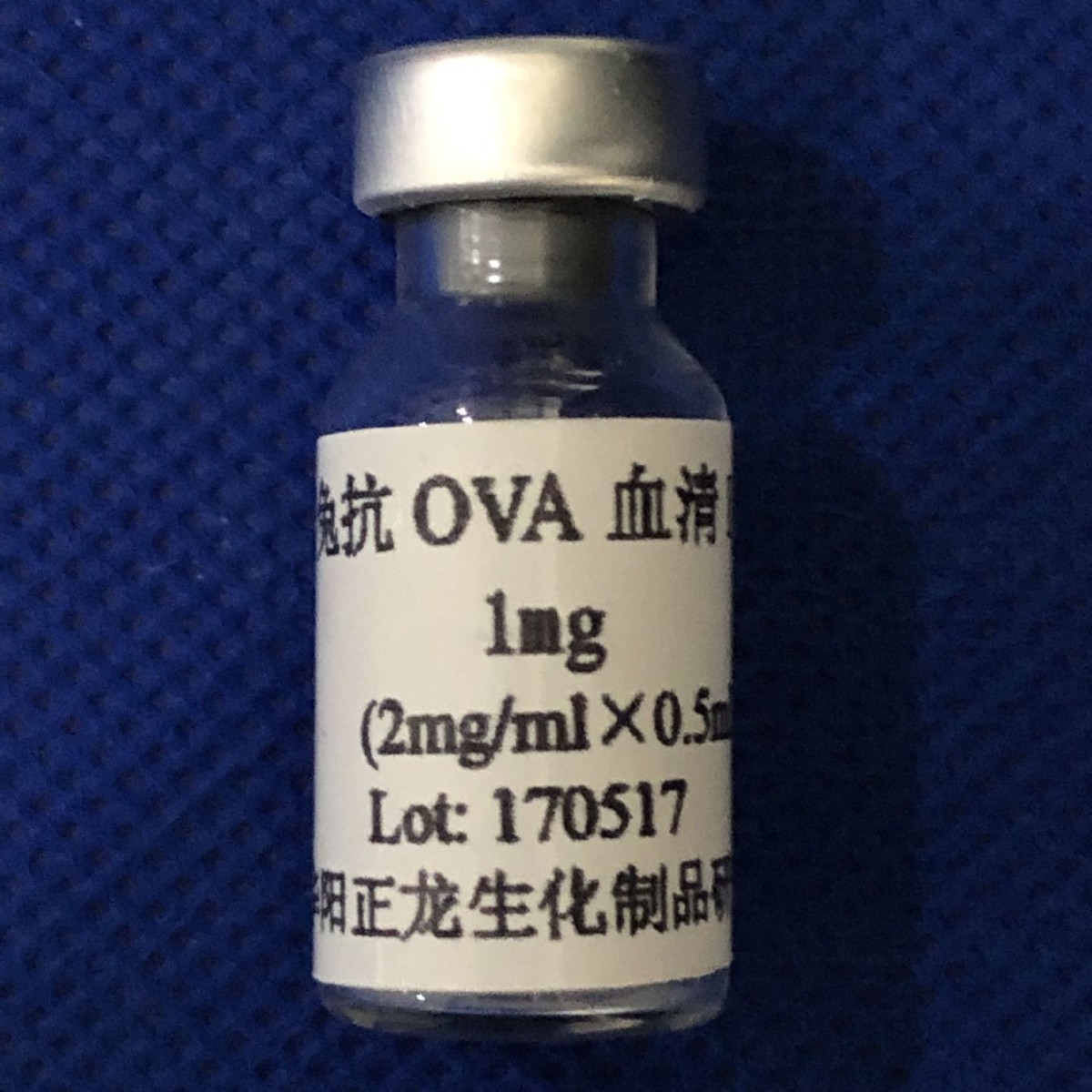 �ÿ�OVA����-1.0MG
