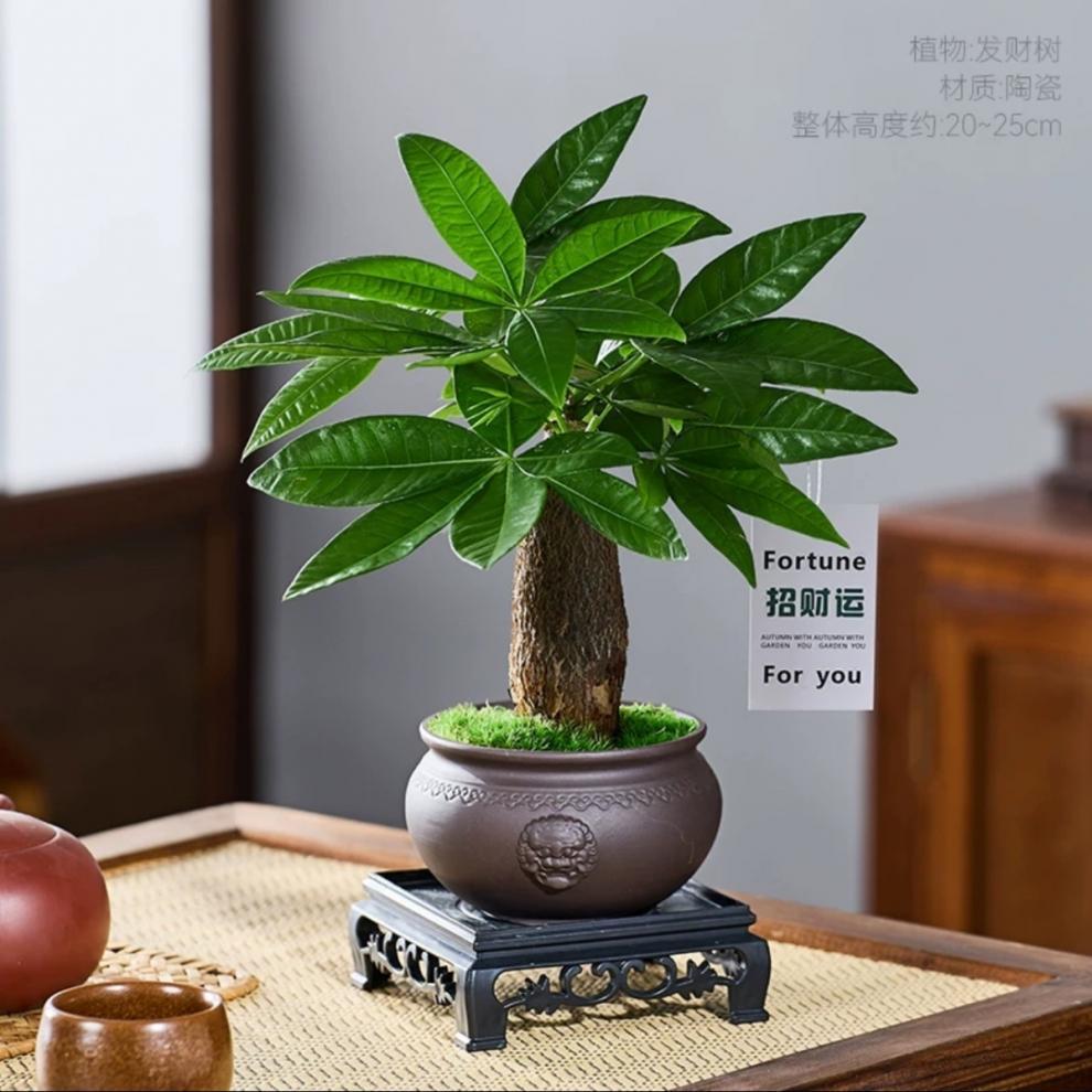 9f26001c-8d8a-4e3a-ba64-7c395f917067.jpe