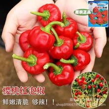 ���Ҽt�ݽ��N���u�Ľ��N���ļ������̨���ԟ��\�ݽ��M�ڲ�ݮ����