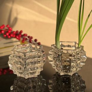 Hydroponic Utensils Creative Glass Flower Pot Water Plant Bottle Transparent Flower Vase Round Container