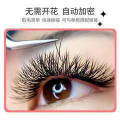 Luscious False Eyelashes Wholesale Natural D Curled Iris Rootless V-Shaped Flower Round Hair Transplanted Eyelashes