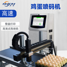 连续式小字符鸡蛋鸭蛋喷码机高附着力蛋品高清打码机激光标