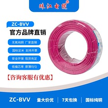 �㶫�齭����ZC-BVV1-35ƽ��ȫ����Դ����ȼ��ͭо�������