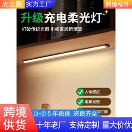 led橱柜灯衣柜人体感应灯条酒柜走廊楼梯灯带小夜灯1