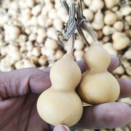 葫芦器;茶叶罐;镇宅摆件