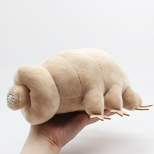 �羳����Tardigrade���������ˮ���x���з����x��ë�q���