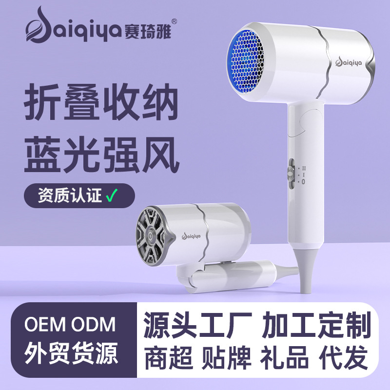 Fábrica de secador de pelo transfronterizo fuente doméstica plegable gran salón de pelo de viento de alta potencia secador de pelo de comercio exterior secador de pelo