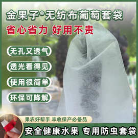 无纺布葡萄套袋树上水果子防虫防刮伤防尘保护包装袋水果果蔬套袋