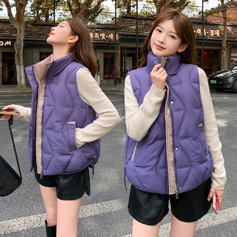 2025 comercio exterior algodón cálido chaleco de invierno de otoño nuevo chaleco cálido casual ligero abrazadera de caballo abrigo de cuello vertical