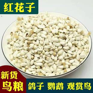 ��؛�t�����W�^�Z���P�Zʳ�}���Bʳ�B�Z������ӼZ�׹��Ӽt����