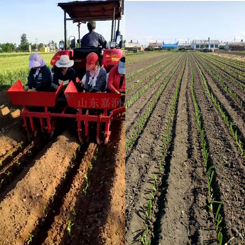 双行大葱移栽机 菊花农用移植机 山东种植大葱机械