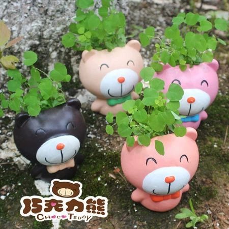 Шоколадный медведь, детская игрушка для малышей, домашнее садоводство, горшок, микропейзаж, настольный ландшафтный дизайн, растения, креативные подарки