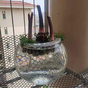 �ӝ�ͦˮ����Gֲ�^�V��ˮ�^��������ˮ��������辰����ȩ����