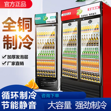 冷藏柜展示柜商用啤酒柜立式饮料冰柜单双门超市冷柜保鲜柜