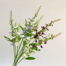 ���� ��ȸ С�w�� С����֦�ٻ�����С���~�� �b��ĔzӰ����