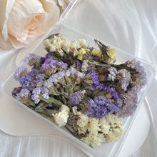 �����Ҹɻ�����֦ ˇ�g�����s־�֎��쾰�b[���ֹ�DIY�����