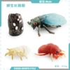 PL127-2434 cicada cycle 2 59g